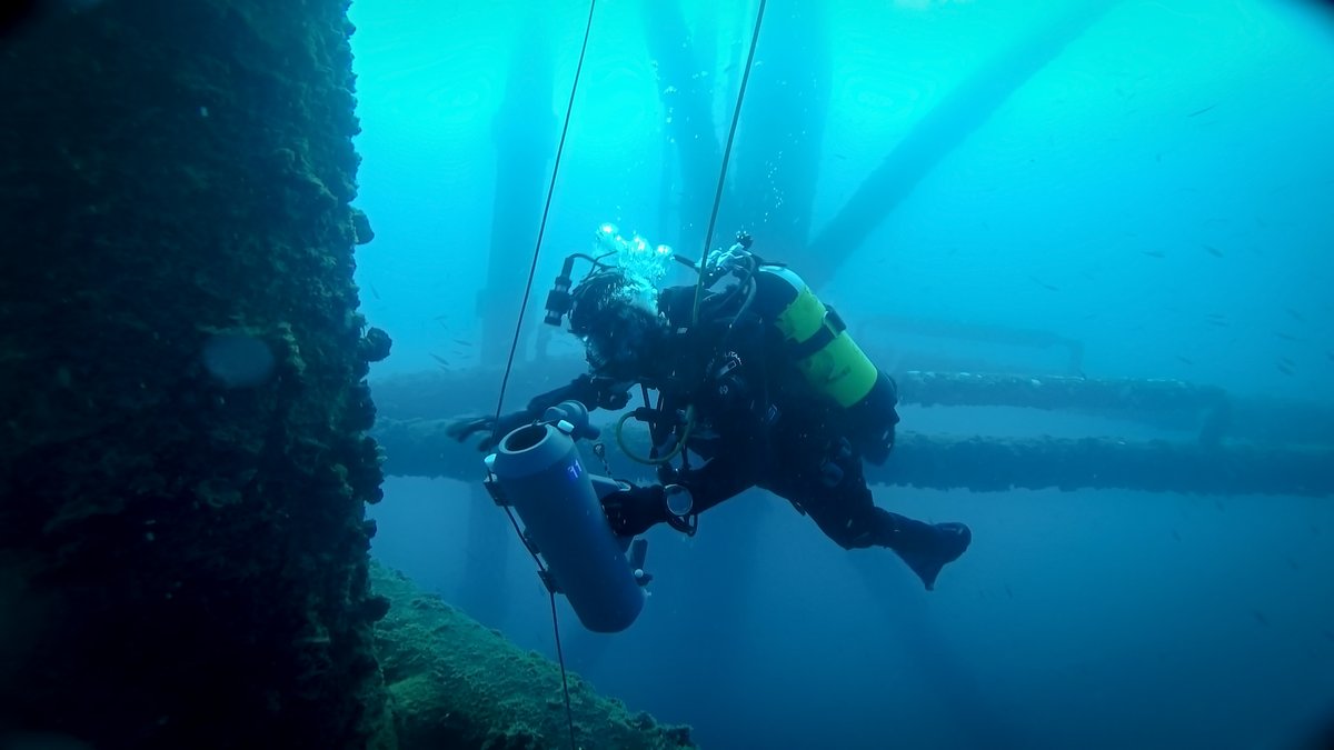 Central African Diving Institute (CADI)